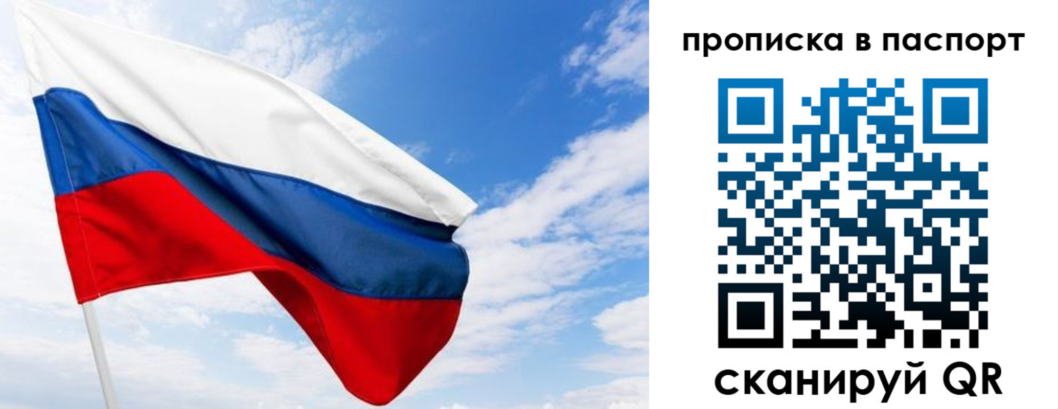 прописка поиск в Дмитрове
