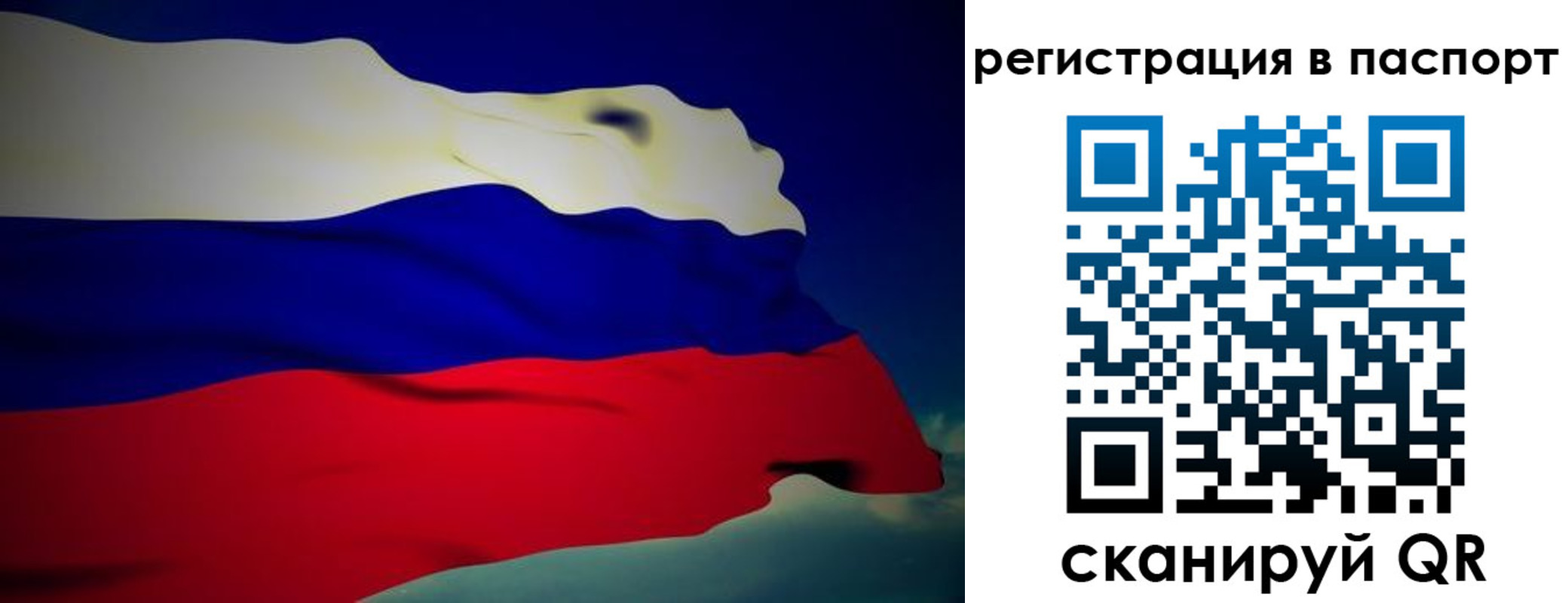временная регистрация 2025 в Дмитрове